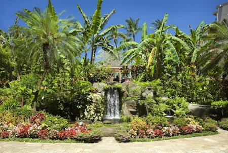 Aston Kaanapali Shores Garden