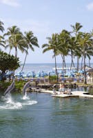 The Kahala Hotel and Resort 262 Dolphins jumping at Kahala Hotel