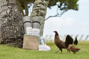 aston-islander-on-the-beach