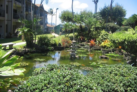 Gardens and ponds at the Marc Resorts Pono Kai
