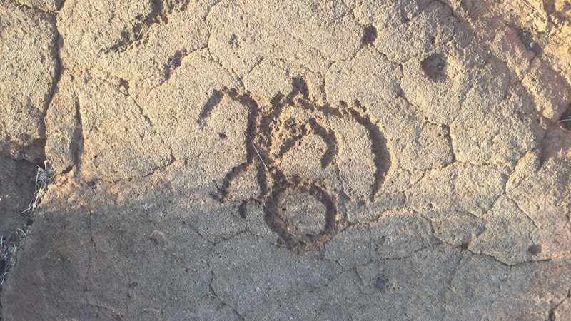 Top 5 Reasons to Explore Waikoloa Petroglyphs in Hawaii