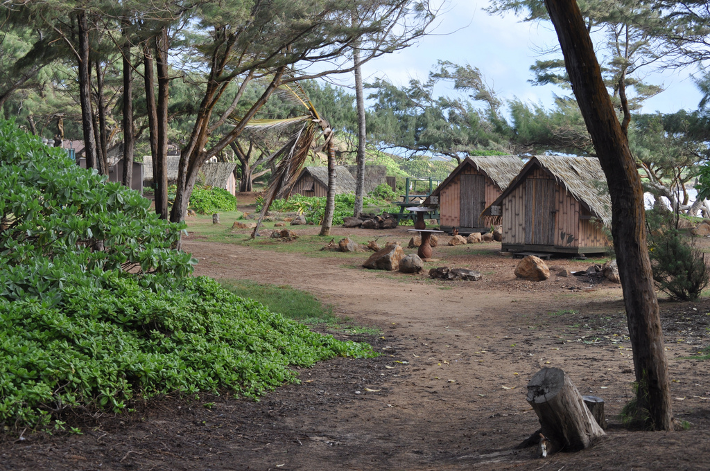 Go Rustic Rent A Cabin In Hawaii And Relax Hawaii Aloha Travel