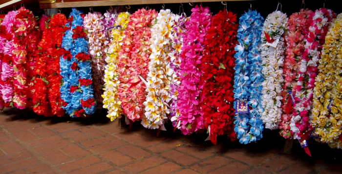 Renting A Car In Hawaii Don T Be A Victim Of A Break In Hawaii