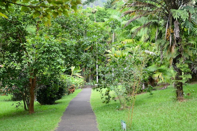 Hoʻomaluhia botanical garden