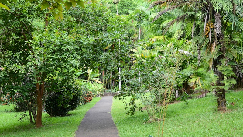 Hoʻomaluhia Botanical Garden: A free garden for picnics, fishing, camping, and more