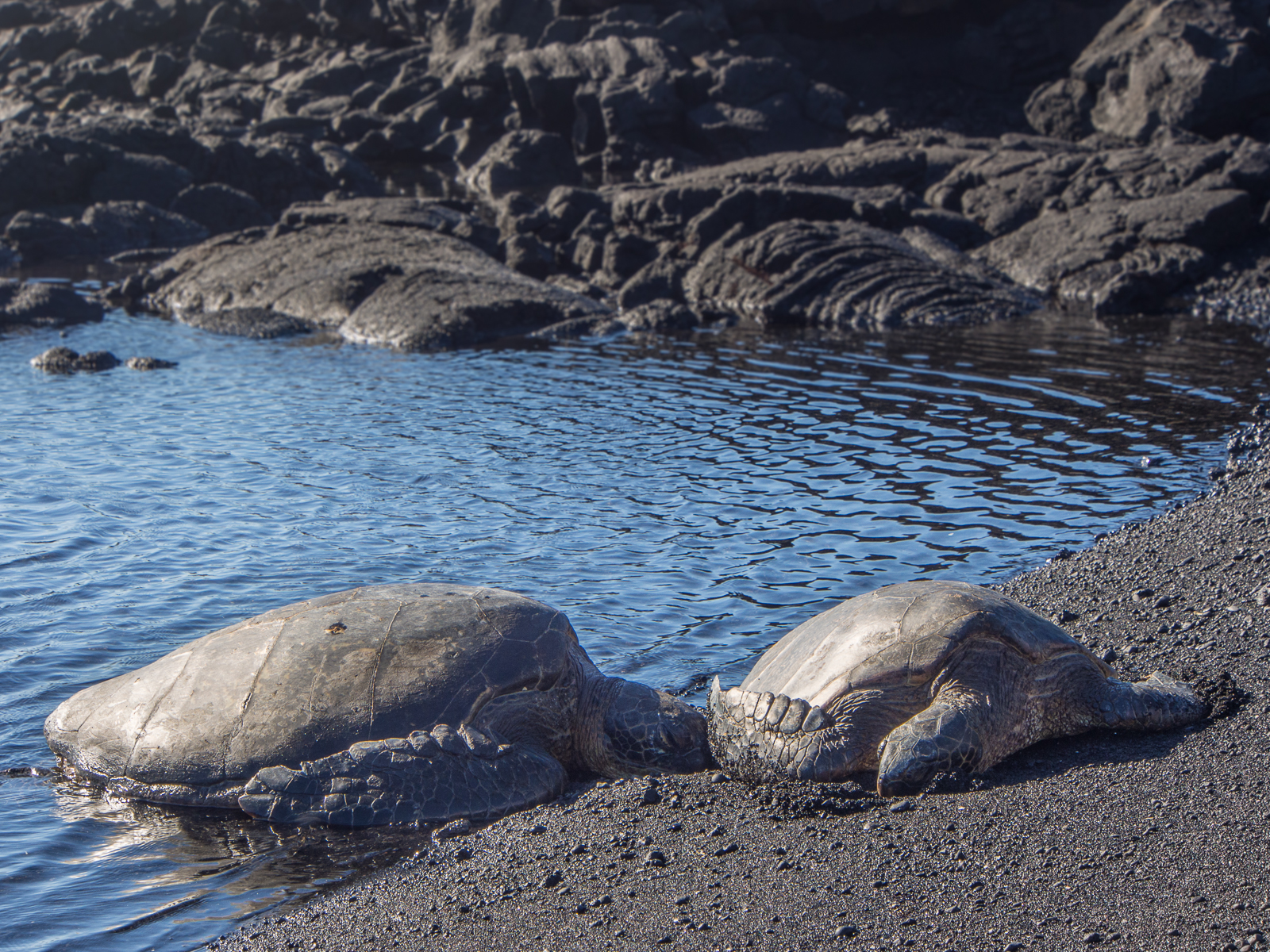 All Inclusive Hawaii Big Island