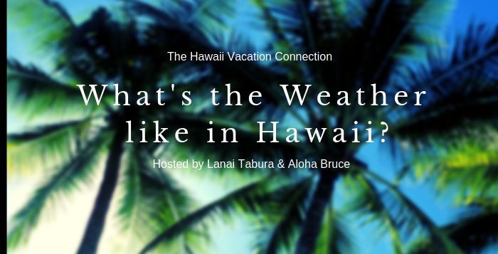 What’s the weather like in Hawaii?