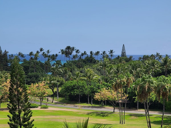 Kauai “resort bubble” plan moves forward