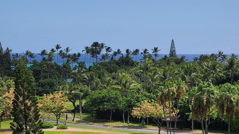 Kauai “resort bubble” plan moves forward
