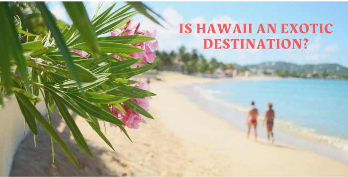 Is Hawaii an Exotic Destination? | Hawaii Cruises for 2021 | Dwayne “The Rock” Johnson Fanny Packs