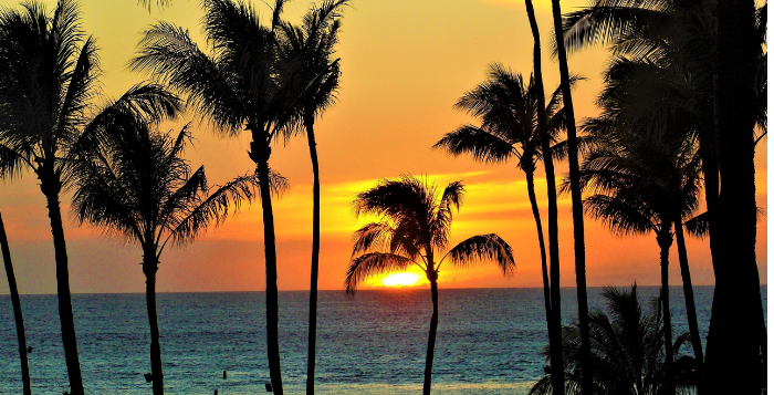 Choosing a Condo versus a Resort for your Hawaii Vacation