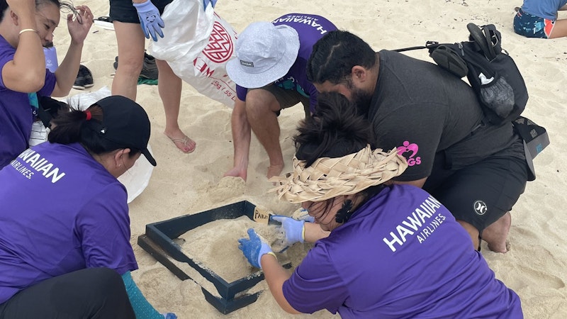 Hawaii voluntourism: make a difference