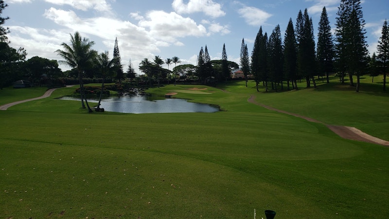 Hawaii golf tips for visitors