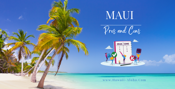 Maui Pros and Cons | Is Maui the right choice for your Vacation?