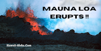 Mauna Loa Erupts