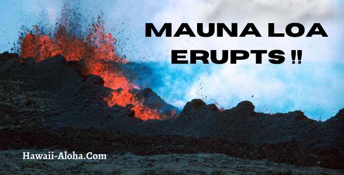 Mauna Loa Volcano is Erupting !