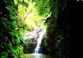 Maunawili Falls
