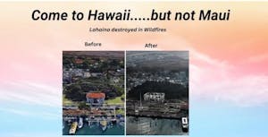 NEW come to hawaii not maui (1)