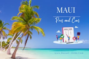 Maui Pros and Cons Palm trees on a beach