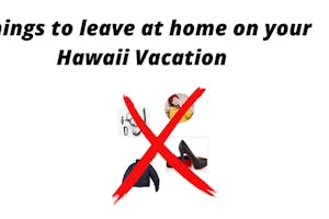 Things you don't need to bring to Hawaii Graphic of