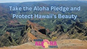 aloha pledge