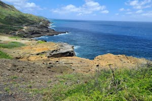 ka iwi coast