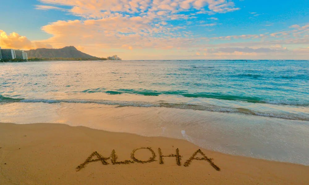 Aloha-Friday