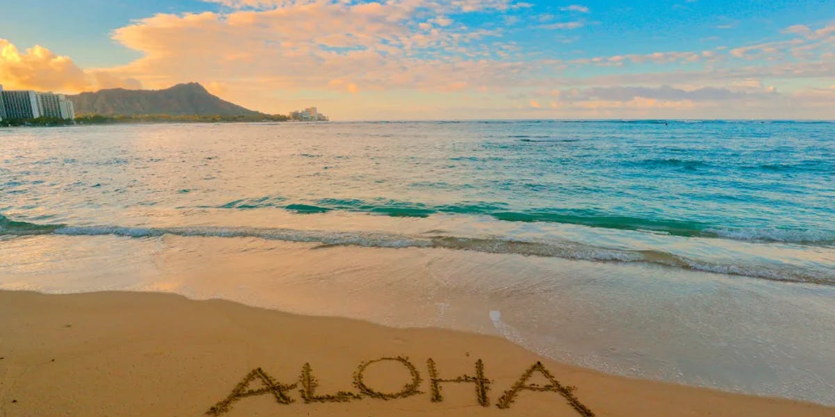 Aloha-Friday Aloha-Friday