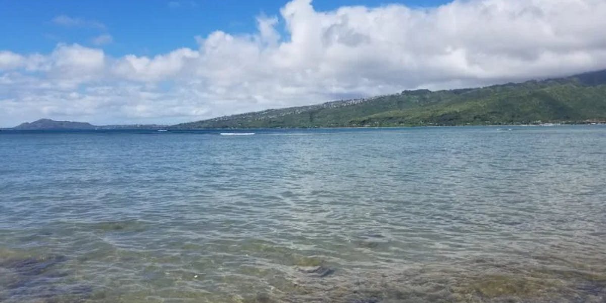 Beach-Access-1-e1541465955691 Beach-Access-1-e1541465955691