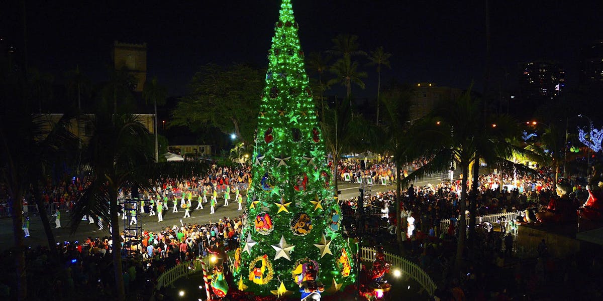 Christmas-Tree-Hon-Hale-scaled Christmas-Tree-Hon-Hale-scaled