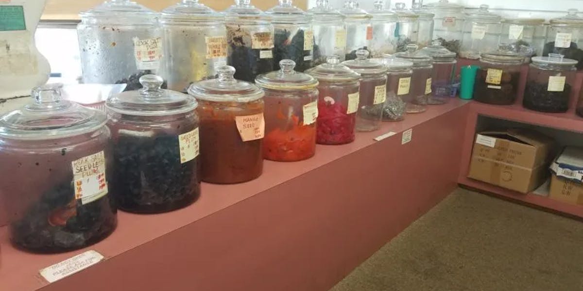 Crack-Seed-Jars-e1538088327663 Crack-Seed-Jars-e1538088327663