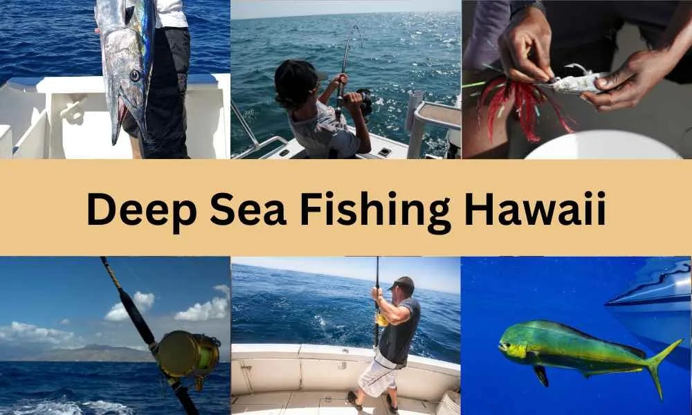 Deep-sea-fishing-hawaii