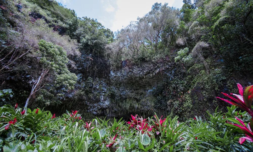 Fern-grotto-kauai