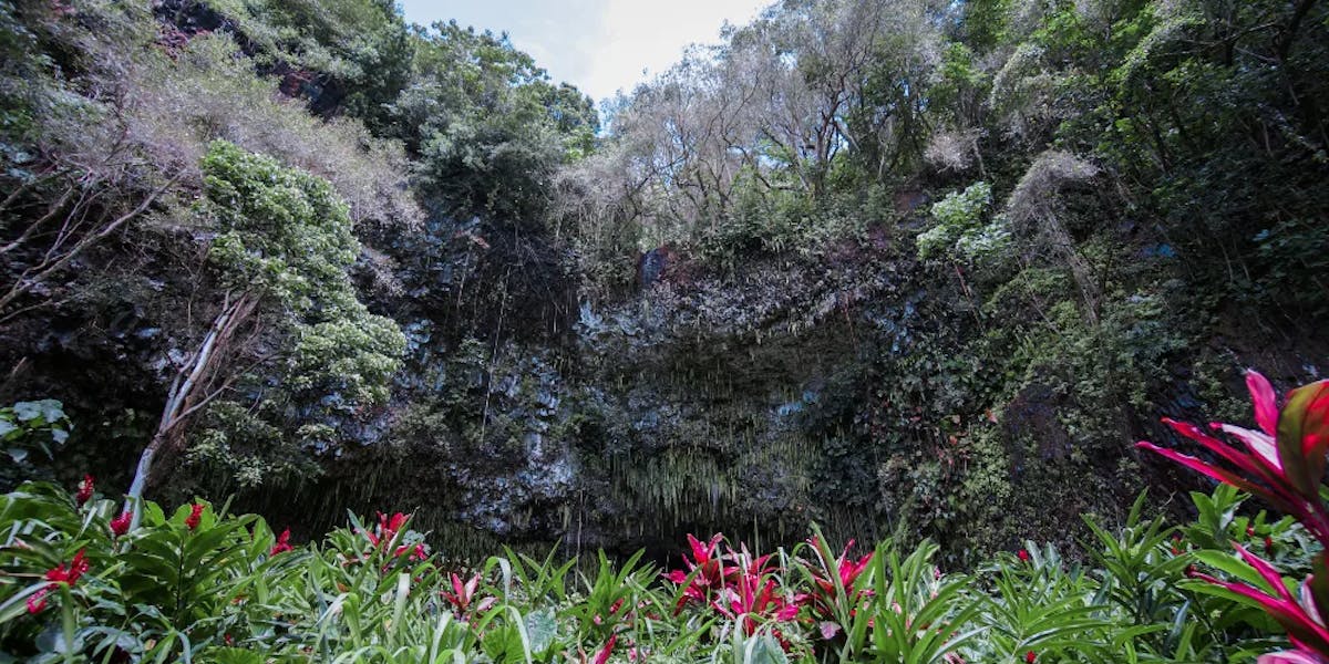Fern-grotto-kauai Fern-grotto-kauai