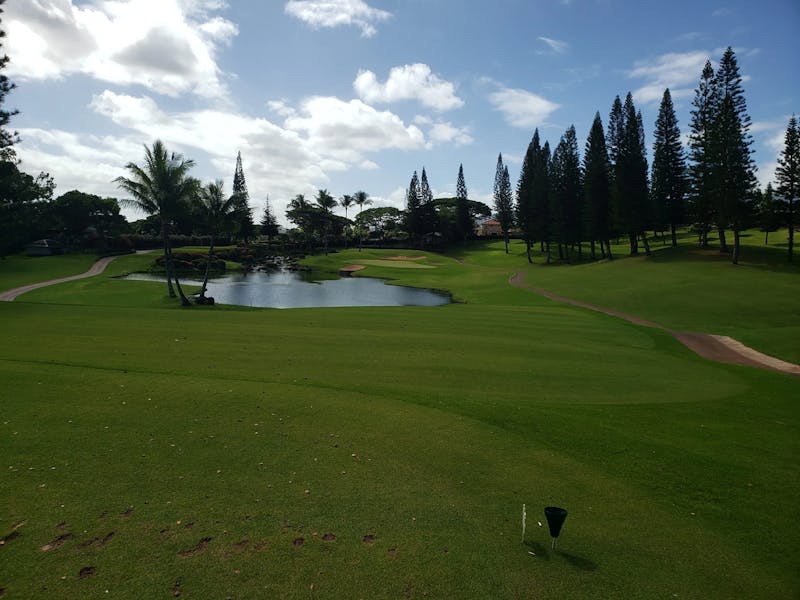 Golf-1-scaled