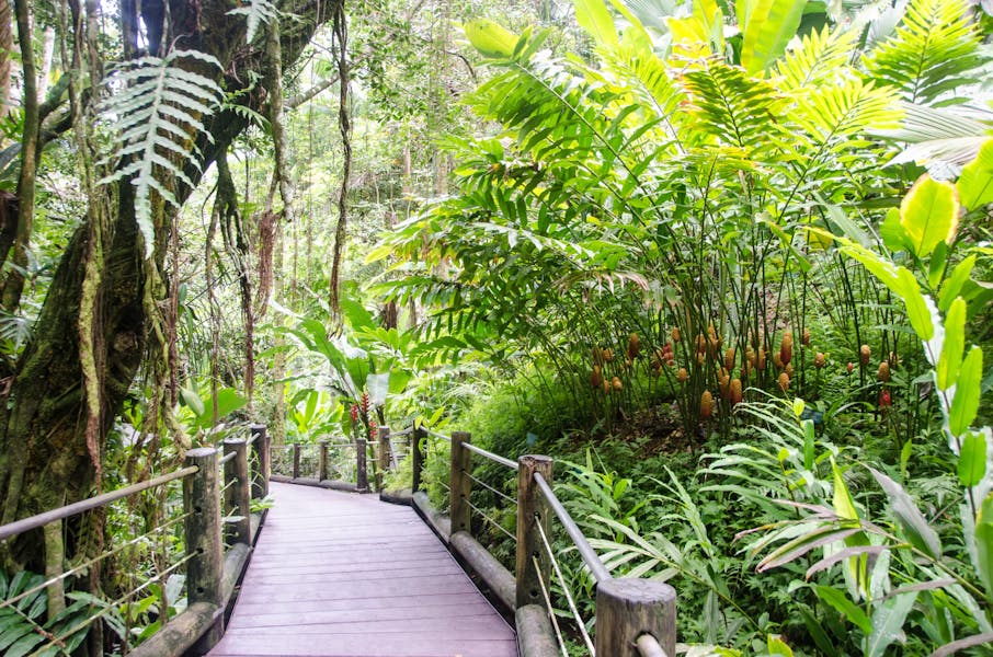 Hawaii-Tropical-Botanical-Garden-9 Hawaii-Tropical-Botanical-Garden-9