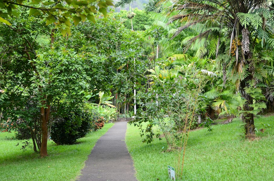 Hoʻomaluhia-Botanical-Garden-6