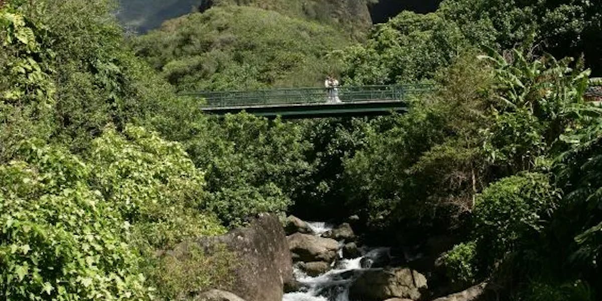 Iao_Needle_3_196 Iao_Needle_3_196