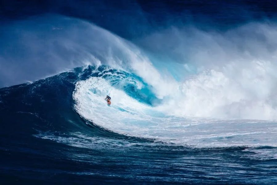 Jaws-Wave-e1573430805829