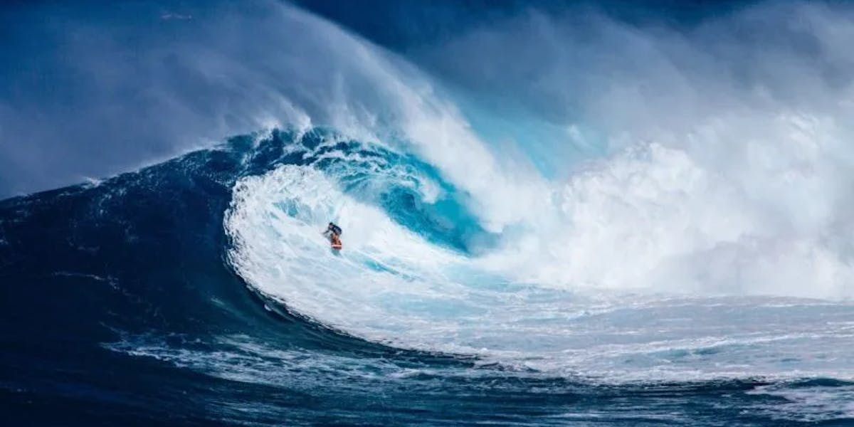 Jaws-Wave-e1573430805829 Jaws-Wave-e1573430805829