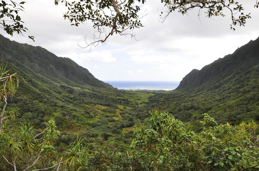 Kualoa-Valley
