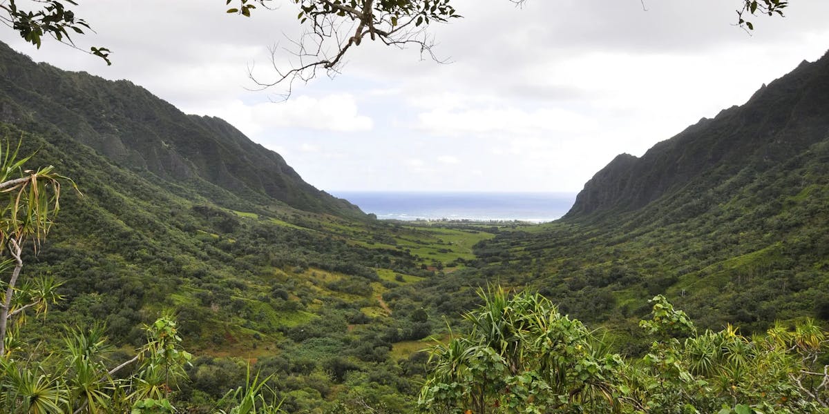 Kualoa-Valley Kualoa-Valley