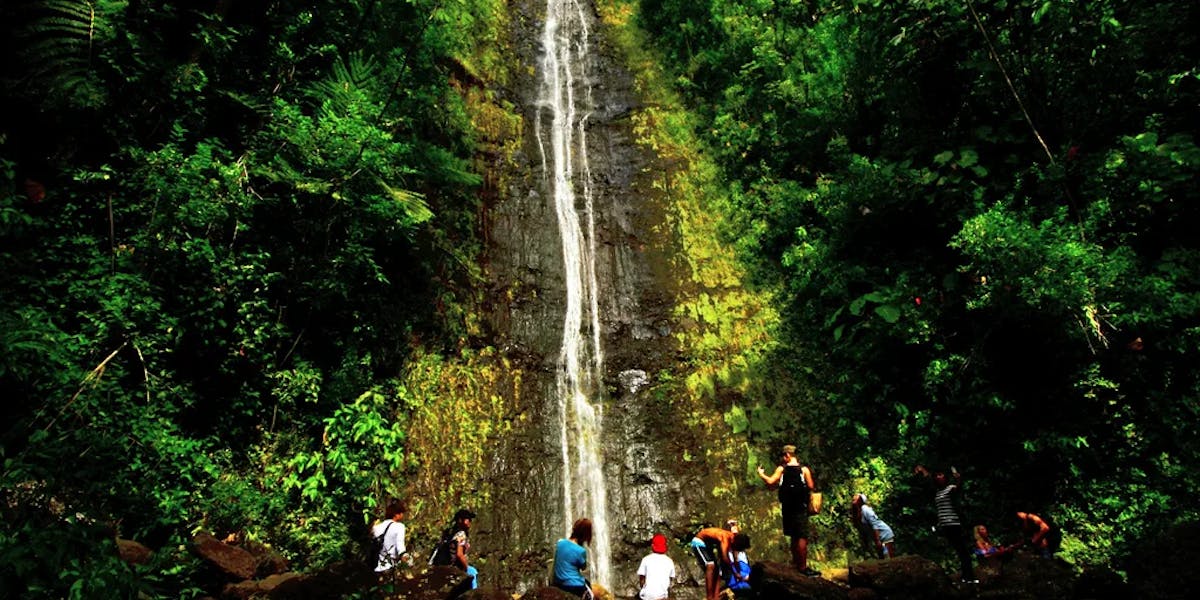 Manoa-Falls Manoa-Falls