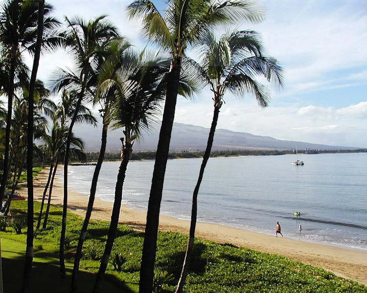 Maui-Beach-Kihei-1