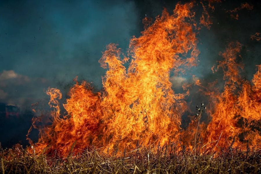 Maui-Wildfire-1