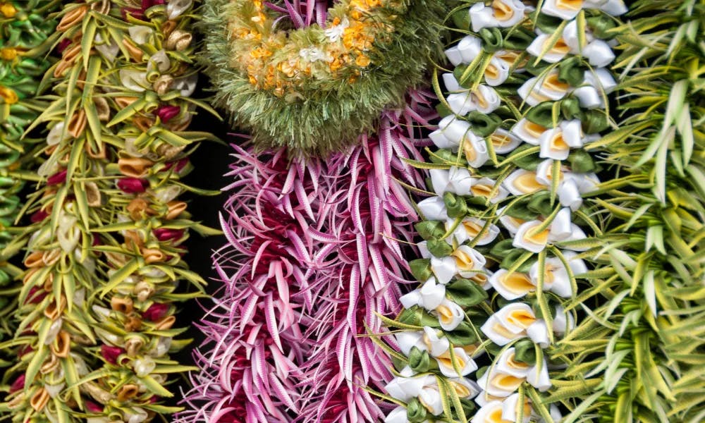 MayDay-is-Lei-Day