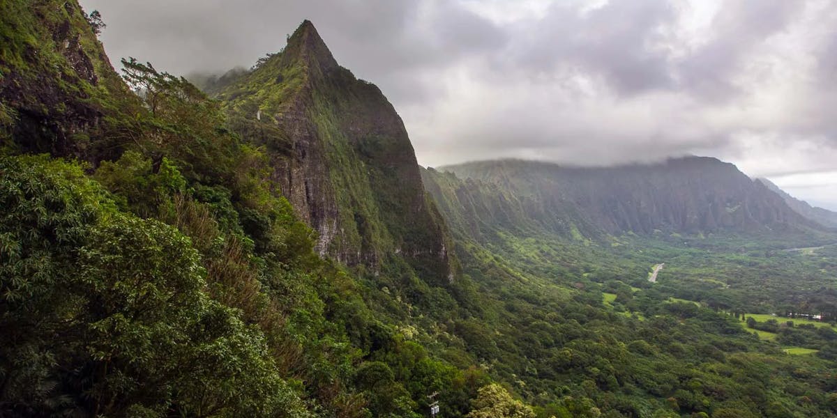 OLYMPUS DIGITAL CAMERA OLYMPUS DIGITAL CAMERA