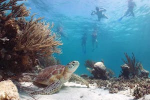 Oahu Teen Adventure Package
