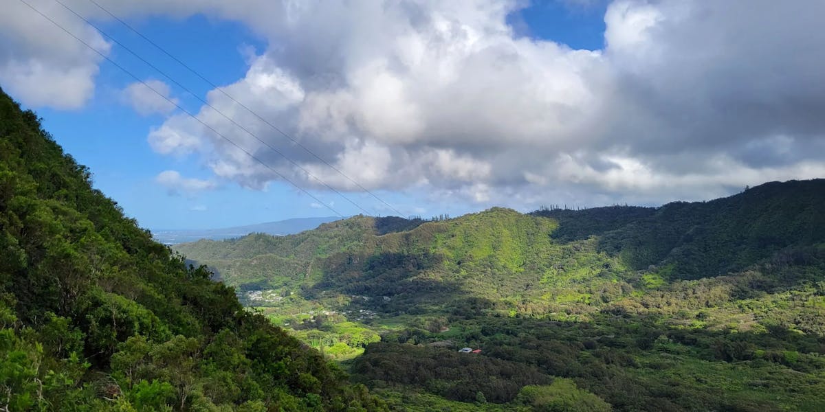 Pauoa-Flats-View-scaled Pauoa-Flats-View-scaled