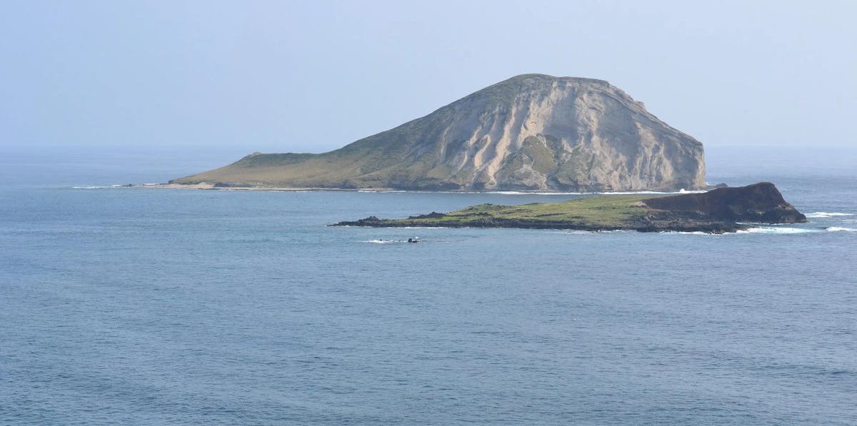 Rabbit-Island